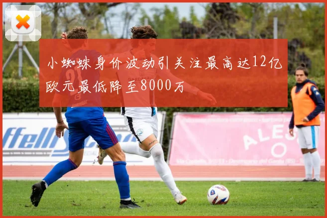 小蜘蛛身价波动引关注最高达12亿欧元最低降至8000万