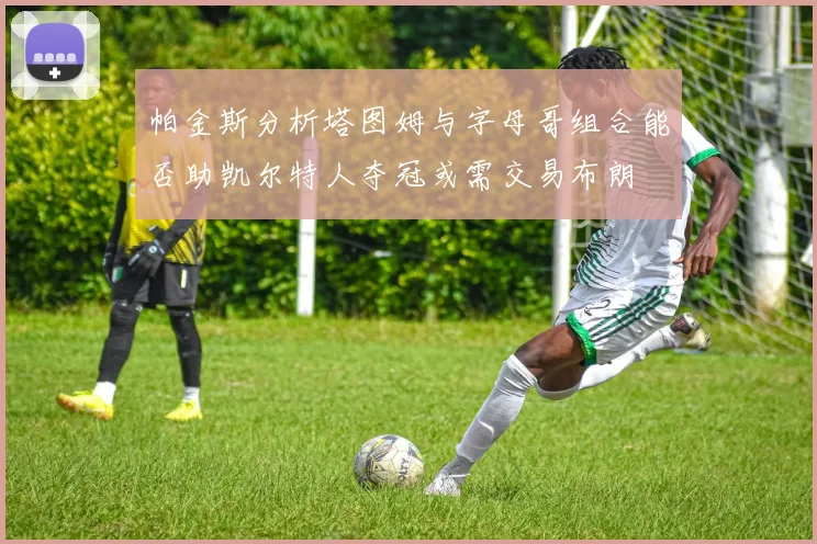 帕金斯分析塔图姆与字母哥组合能否助凯尔特人夺冠或需交易布朗